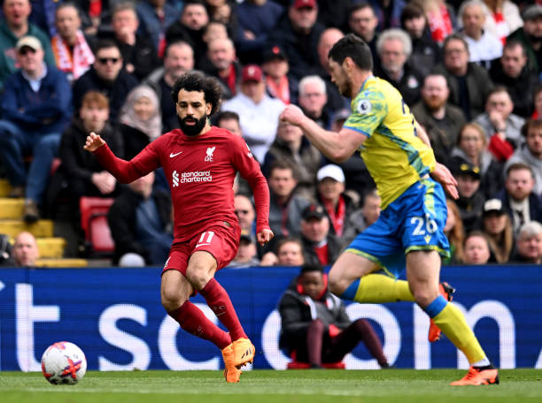 员如雨后春 员如雨后春